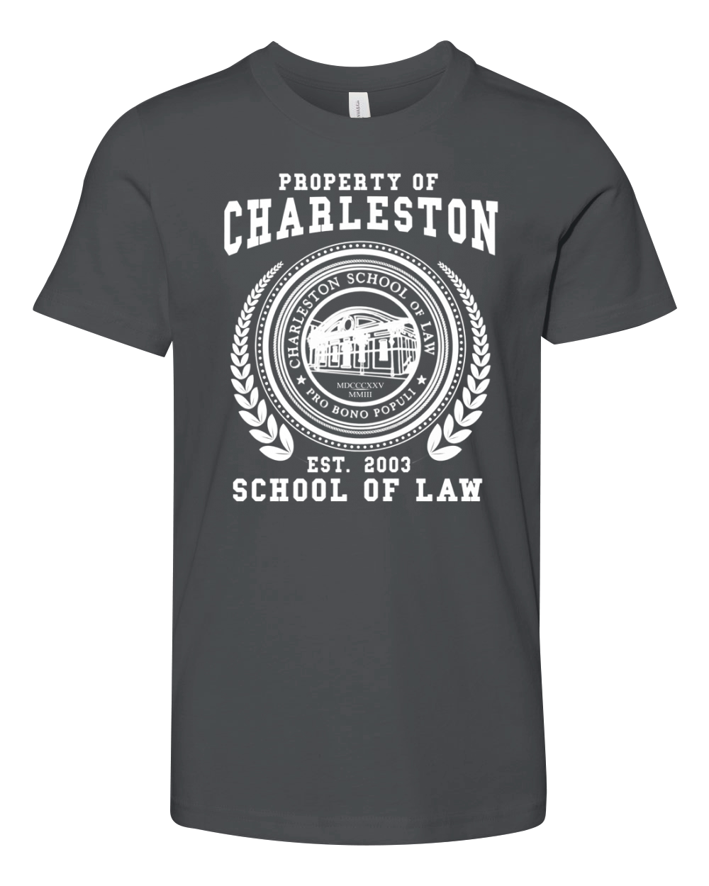 Charleston School of Law Youth Unisex Jersey Tee