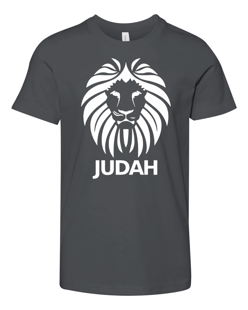 hebrew israelite t shirt lion of judah clothing tee Youth Unisex Jersey Tee