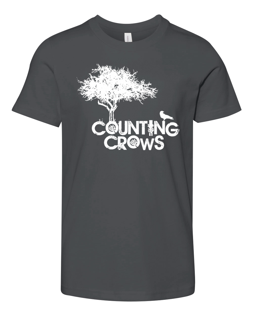 Counting Crows Band Tshirt Youth Unisex Jersey Tee