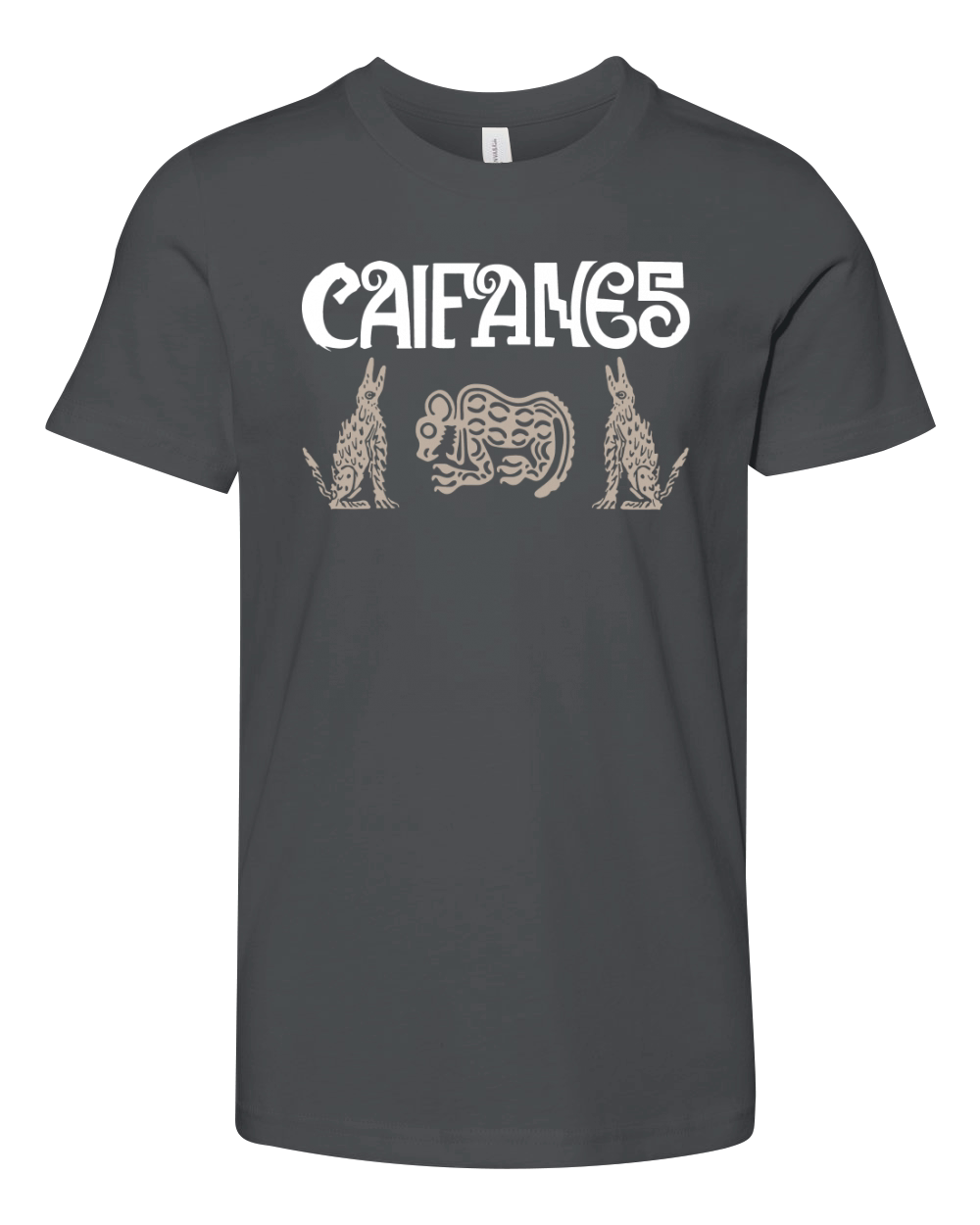 Caifanes Band Tshirt Youth Unisex Jersey Tee